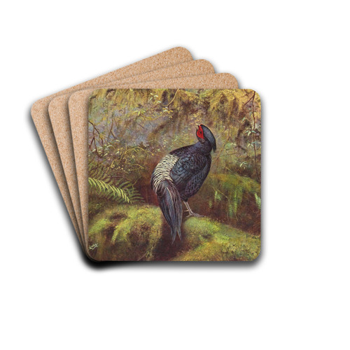 Black-Breasted Kaleege by George Edward Lodge Drink Coasters - set of 4 Black-Breasted Kaleege by George Edward Lodge Drink Coasters - set of 4