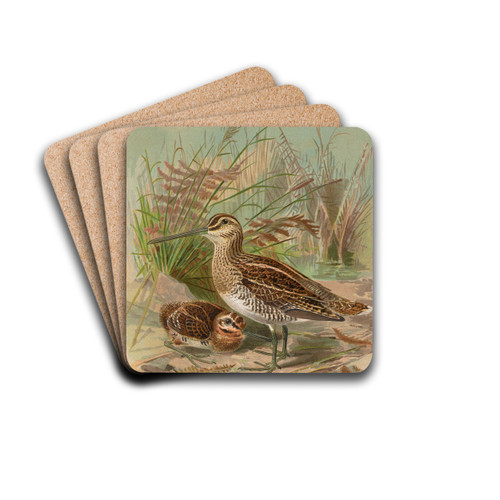 Gallinago gallinago by Johann Friedrich Naumann Drink Coasters - set of 4 Gallinago gallinago by Johann Friedrich Naumann Drink Coasters - set of 4