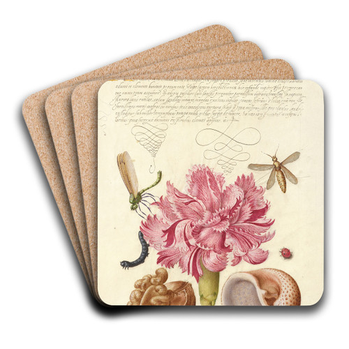 Damselfly, Carnation, Insect, Caterpillar, Ladybird, English Walnut, and Marine Mollusk by Joris Hoefnagel Art Drink Coaster set