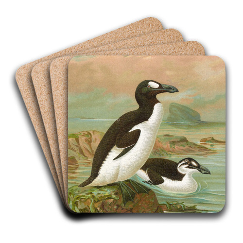 Alca impennis L., Riesenalk by Johann Friedrich Naumann Art Drink Coaster set Alca impennis L., Riesenalk by Johann Friedrich Naumann Art Drink Coaster set
