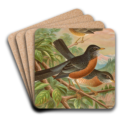 Turdus migratorius by Johann Friedrich Naumann Art Drink Coaster set Turdus migratorius by Johann Friedrich Naumann Art Drink Coaster set