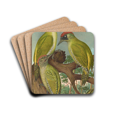 Picus viridis by Johann Friedrich Naumann Drink Coasters - set of 4 Picus viridis by Johann Friedrich Naumann Drink Coasters - set of 4