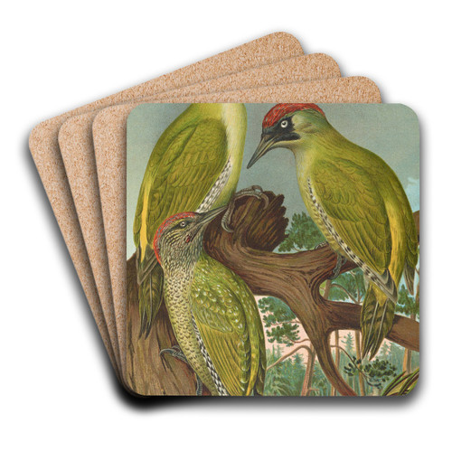 Picus viridis by Johann Friedrich Naumann Art Drink Coaster set Picus viridis by Johann Friedrich Naumann Art Drink Coaster set