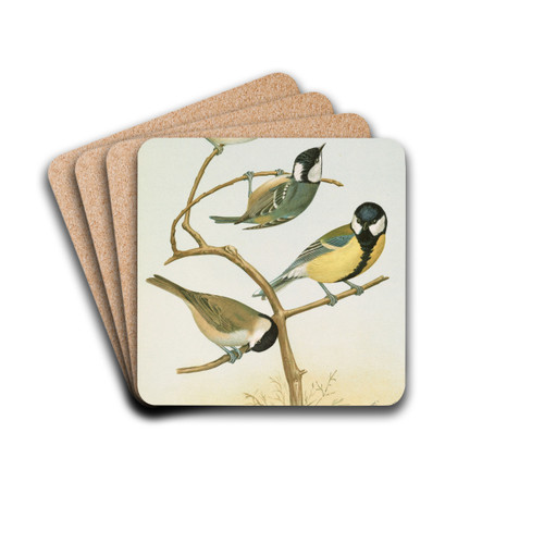 Parus mitratus, Parus ater, Parus major, Parus subpalustris Brm by Johann Friedrich Naumann Drink Coasters - set of 4 Parus mitratus, Parus ater, Parus major, Parus subpalustris Brm by Johann Friedrich Naumann Drink Coasters - set of 4