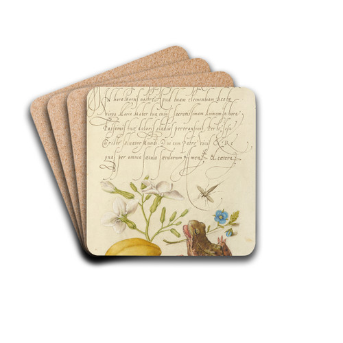Gillyflower, Insect, Germander, Almond, and Frog by Joris Hoefnagel Drink Coasters - set of 4