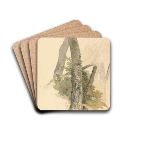 Tree Study with Ivy Clinging to Stump by Robert Hills Drink Coasters - set of 4 Tree Study with Ivy Clinging to Stump by Robert Hills Drink Coasters - set of 4