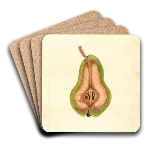 Pyrus communis: Bartlett by James Marion Shull Art Drink Coaster set