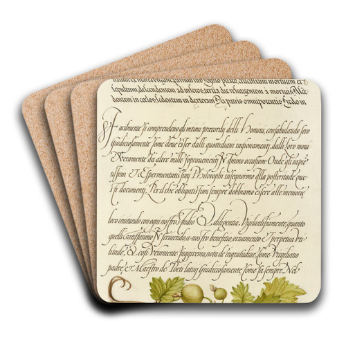 European Currant by Joris Hoefnagel Art Drink Coaster set