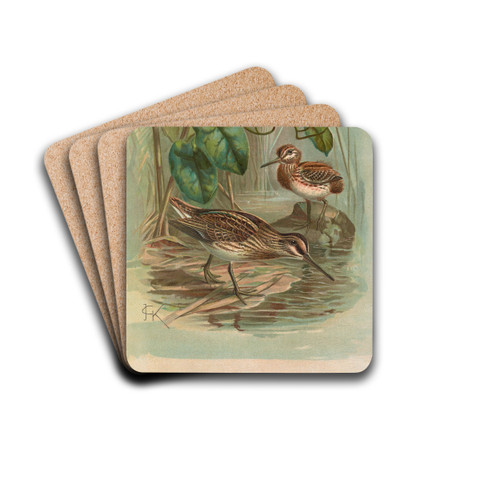 Gallinago gallinula by Johann Friedrich Naumann Drink Coasters - set of 4 Gallinago gallinula by Johann Friedrich Naumann Drink Coasters - set of 4