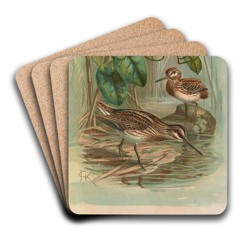 Gallinago gallinula by Johann Friedrich Naumann Art Drink Coaster set Gallinago gallinula by Johann Friedrich Naumann Art Drink Coaster set