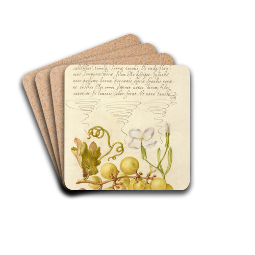 Wine Grape, Gillyflower, and Land Snail by Joris Hoefnagel Drink Coasters - set of 4