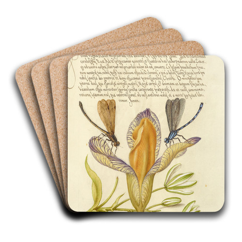 Damselflies, Spanish Iris, and Star-of-Bethlehem by Joris Hoefnagel Art Drink Coaster set