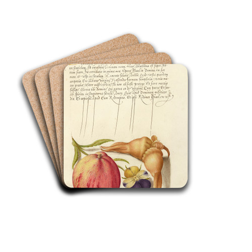 Common Apple, European Wild Pansy, and Giant Filbert by Joris Hoefnagel Drink Coasters - set of 4