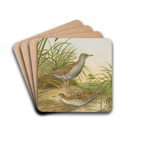 Ortygometra pusilla (Pall.) by Johann Friedrich Naumann Drink Coasters - set of 4 Ortygometra pusilla (Pall.) by Johann Friedrich Naumann Drink Coasters - set of 4
