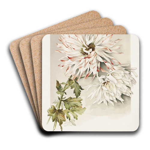 Chrysanthemums by Sidney Thomas Callowhill Art Drink Coaster set