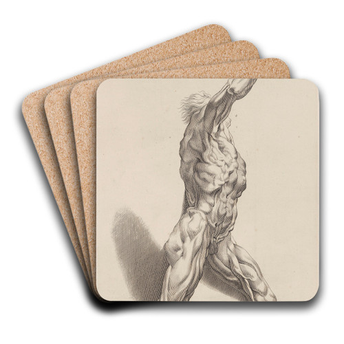 Nude Study by Peter Paul Rubens Art Drink Coaster set