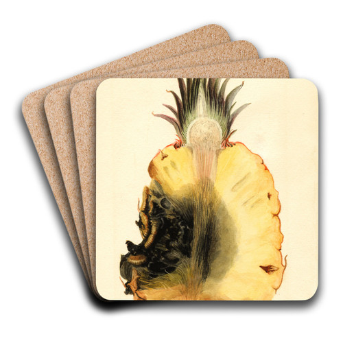 Ananas comosus: Pineapple by James Marion Shull Art Drink Coaster set