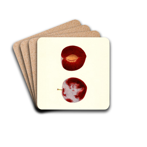 Prunus domestica: Flaming Delicious by James Marion Shull Drink Coasters - set of 4