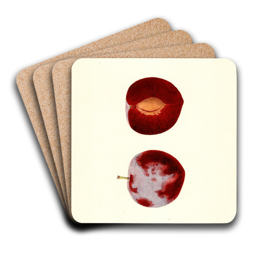 Prunus domestica: Flaming Delicious by James Marion Shull Art Drink Coaster set