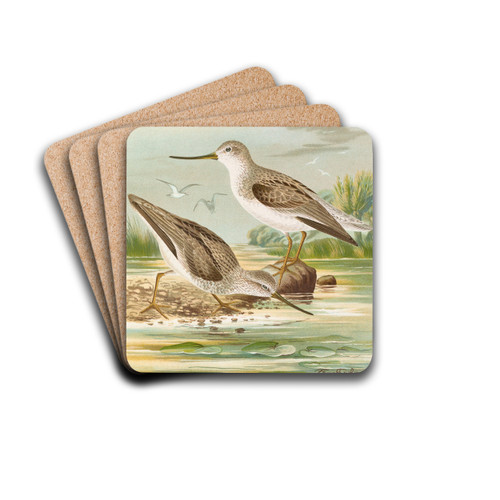 Terekia cinerea by Johann Friedrich Naumann Drink Coasters - set of 4 Terekia cinerea by Johann Friedrich Naumann Drink Coasters - set of 4