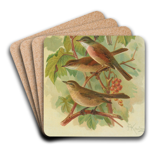 Sylvia curruca, sylvia, simplex by Johann Friedrich Naumann Art Drink Coaster set Sylvia curruca, sylvia, simplex by Johann Friedrich Naumann Art Drink Coaster set