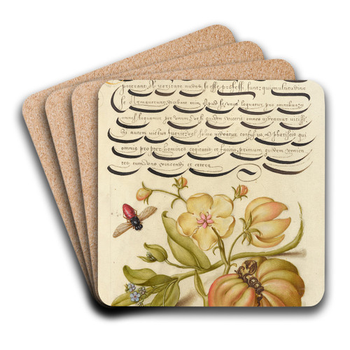 Insect, Moth Mullein, Forget-Me-Not, and Tomato by Joris Hoefnagel Art Drink Coaster set