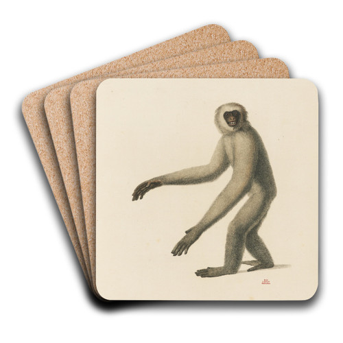 Le Moloch by Jean-Baptiste Audebert Art Drink Coaster set