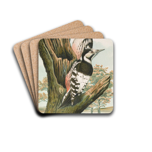 Dendrocopus leuconotus by Johann Friedrich Naumann Drink Coasters - set of 4 Dendrocopus leuconotus by Johann Friedrich Naumann Drink Coasters - set of 4