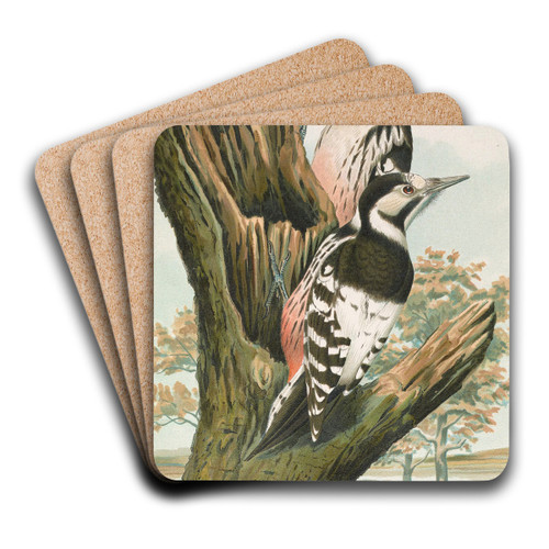 Dendrocopus leuconotus by Johann Friedrich Naumann Art Drink Coaster set Dendrocopus leuconotus by Johann Friedrich Naumann Art Drink Coaster set