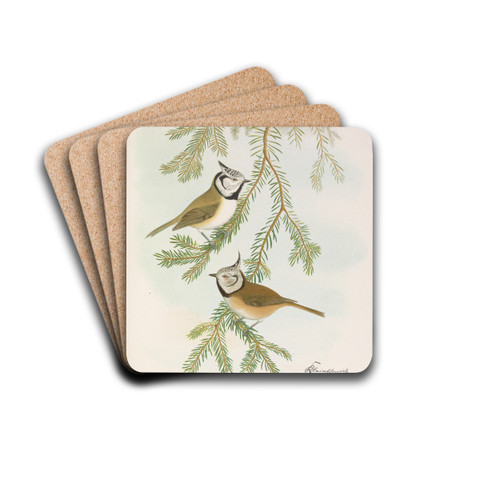 Parus cristatus by Johann Friedrich Naumann Drink Coasters - set of 4 Parus cristatus by Johann Friedrich Naumann Drink Coasters - set of 4