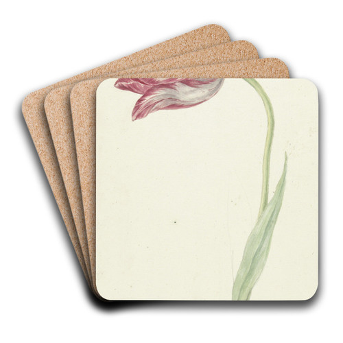Pink Tulip by Jean Bernard Art Drink Coaster set