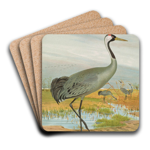 Grus grus by Johann Friedrich Naumann Art Drink Coaster set Grus grus by Johann Friedrich Naumann Art Drink Coaster set