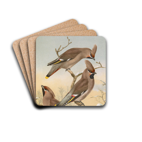 Ampelis garrulus by Johann Friedrich Naumann Drink Coasters - set of 4 Ampelis garrulus by Johann Friedrich Naumann Drink Coasters - set of 4
