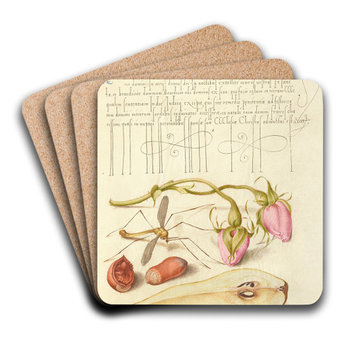 French Rose, Crane Fly, European Filbert, and Common Pear by Joris Hoefnagel Art Drink Coaster set