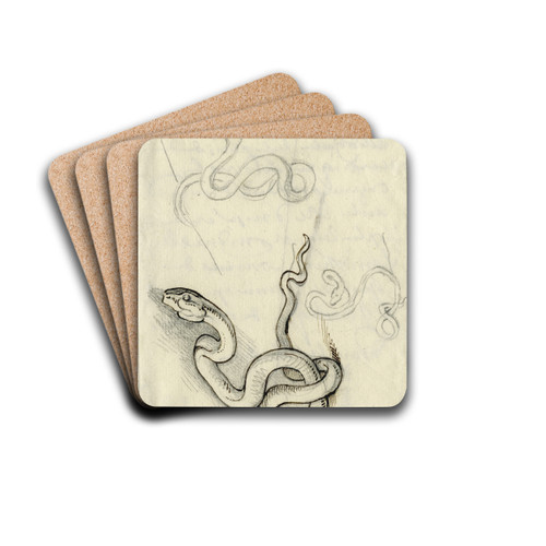 Kronkelende slang in div. houdingen by David Humbert de Superville Drink Coasters - set of 4 Kronkelende slang in div. houdingen by David Humbert de Superville Drink Coasters - set of 4