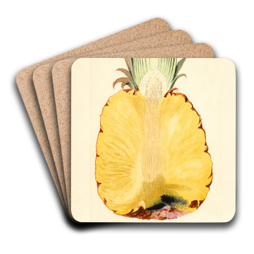Ananas comosus: Pineapple by James Marion Shull Art Drink Coaster set