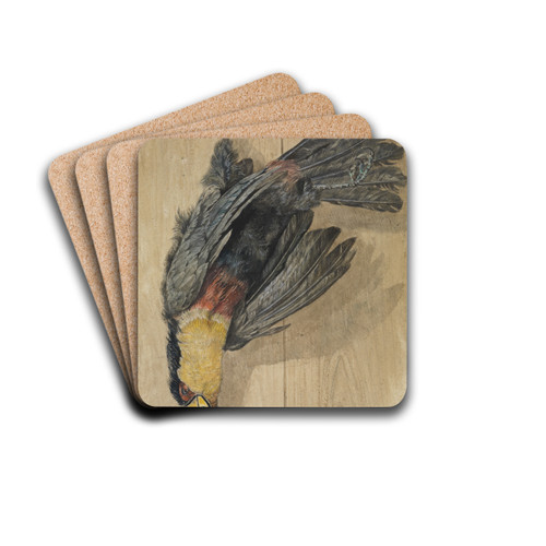 Studie eines toten Tukan-Vogels by Ferdinand Keller Drink Coasters - set of 4