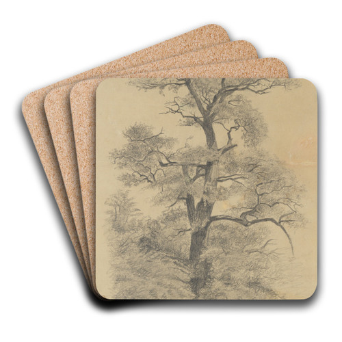 From Nature by Eugne Jansson Art Drink Coaster set