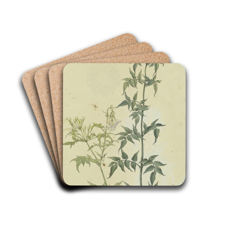 Zwei Jasminzweige by Franz Theobald Horny Drink Coasters - set of 4 Zwei Jasminzweige by Franz Theobald Horny Drink Coasters - set of 4