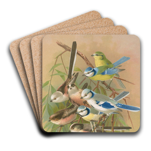 Parus coeruleus, Aegithalus caudatus, caudatus vagans, caudatus Irbyi, Parus cyanus Pall by Johann Friedrich Naumann Art Drink Coaster set Parus coeruleus, Aegithalus caudatus, caudatus vagans, caudatus Irbyi, Parus cyanus Pall by Johann Friedrich Naumann Art Drink Coaster set
