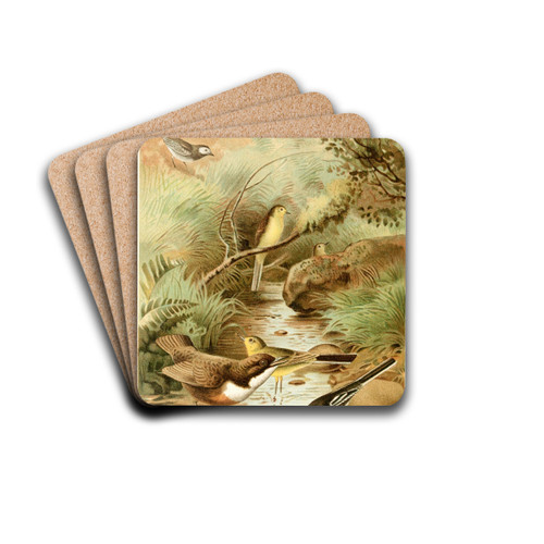Dipper, Pied Wagtail and Yellow Wagtail by Pierre Jacques Smit Drink Coasters - set of 4 Dipper, Pied Wagtail and Yellow Wagtail by Pierre Jacques Smit Drink Coasters - set of 4