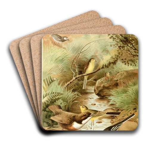 Dipper, Pied Wagtail and Yellow Wagtail by Pierre Jacques Smit Art Drink Coaster set Dipper, Pied Wagtail and Yellow Wagtail by Pierre Jacques Smit Art Drink Coaster set