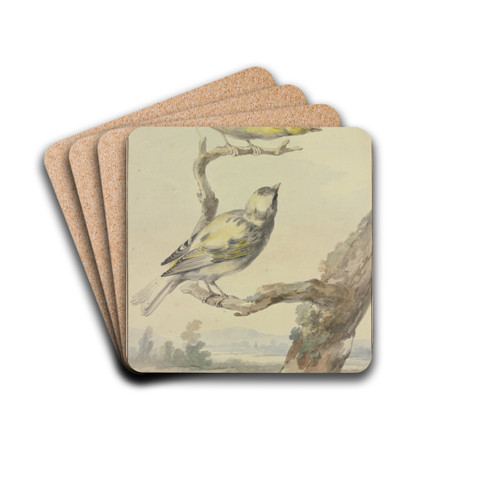 Two canaries by Aert Schouman Drink Coasters - set of 4 Two canaries by Aert Schouman Drink Coasters - set of 4