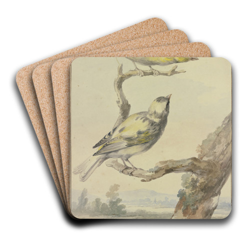 Two canaries by Aert Schouman Art Drink Coaster set Two canaries by Aert Schouman Art Drink Coaster set