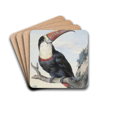 Red-billed Toucan by Aert Schouman Drink Coasters - set of 4 Red-billed Toucan by Aert Schouman Drink Coasters - set of 4