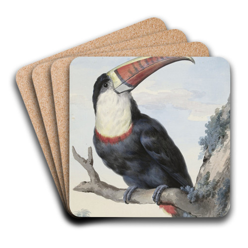 Red-billed Toucan by Aert Schouman Art Drink Coaster set Red-billed Toucan by Aert Schouman Art Drink Coaster set