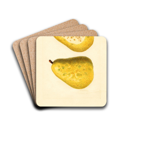 Pyrus communis: Anjou by James Marion Shull Drink Coasters - set of 4