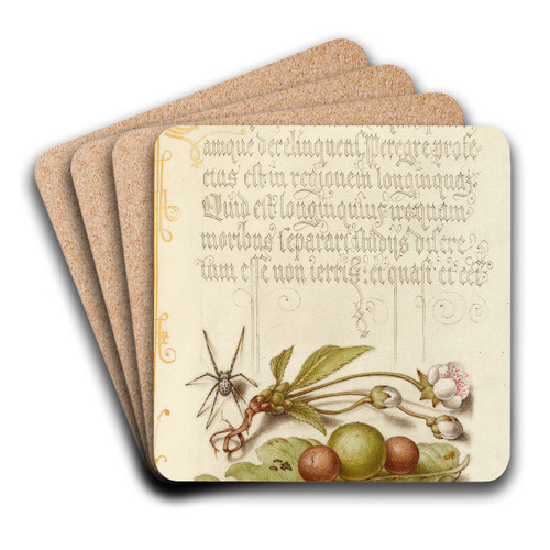 Spider, Sweet Cherry Flower, and English Oak Leaf with Galls by Joris Hoefnagel Art Drink Coaster set