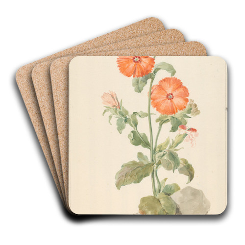 Oranje koekoeksbloem in landschap by Aert Schouman Art Drink Coaster set Oranje koekoeksbloem in landschap by Aert Schouman Art Drink Coaster set
