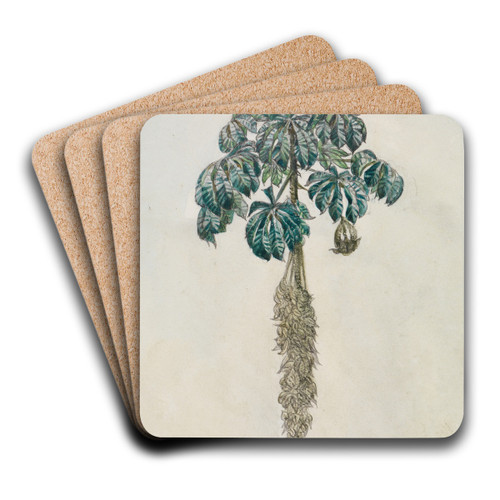 Faultierbaum by Ferdinand Keller Art Drink Coaster set